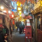 Tokyo Shinjuku Private Night Tour with Pachinko Gaming Experience - Final Thoughts: Is This Tour Worth It?