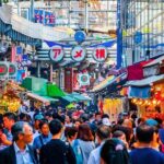 Tokyo Shopping Street Hopping Private Tour with Government Licensed Guide - Who Should Book This Tour?