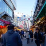 Tokyo Shopping Street Private Tour Government Licensed Guide - What Makes This Tour Special