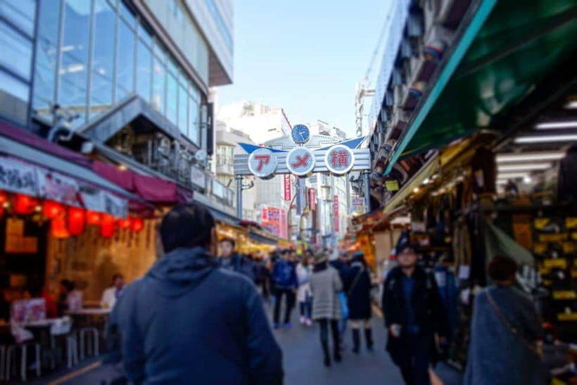 Tokyo Shopping Street Private Tour Government Licensed Guide - What Makes This Tour Special