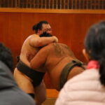 Tokyo Sumo Morning Practice & Exclusive Behind-the-Scenes Access - An In-Depth Look at the Experience