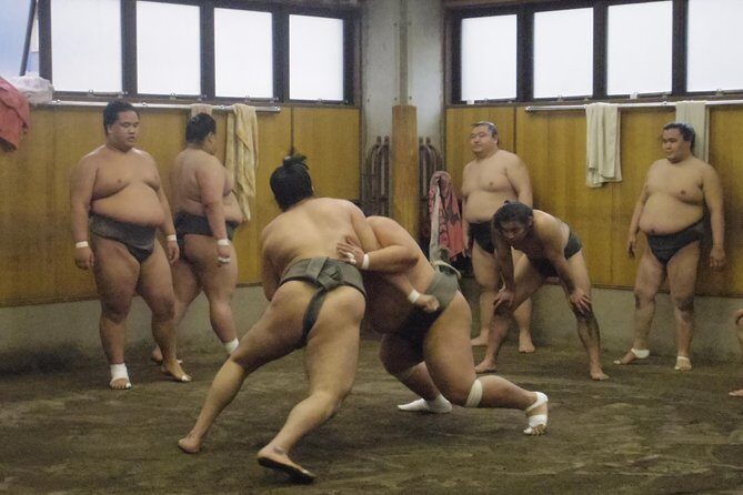 Tokyo Sumo Morning Practice Tour at Stable - Who Will Love This Tour?