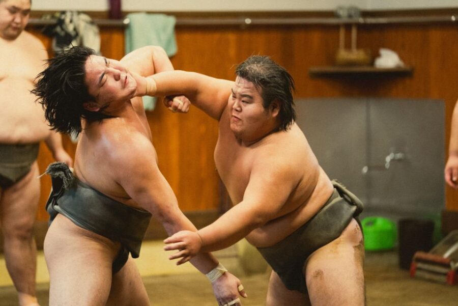 Tokyo: Sumo Morning Practice Tour at Sumida City - An In-Depth Look at the Sumida City Sumo Practice Tour