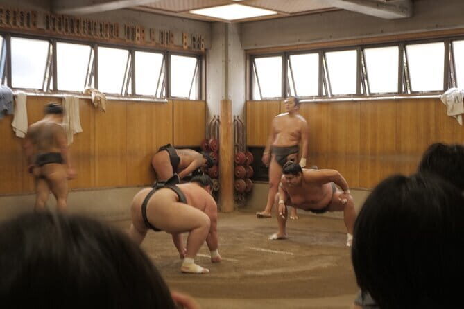 Tokyo Sumo Morning Practice Tour w/ Ring-Side Seat + Photo Shoot - Practical Details & What You Need to Know