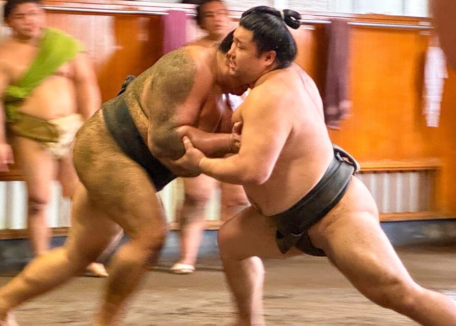 Tokyo: Sumo Morning Practice Tour with Expert Reporter - What to Expect During the Tour