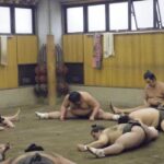 Tokyo: Sumo Morning Practice Viewing Tour - An Up-Close Look at the Sumo Morning Practice Tour