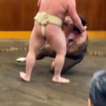 Tokyo: Sumo Morning Practice with Photo Banzuke and Guide - The Value of Watching Sumo Practice