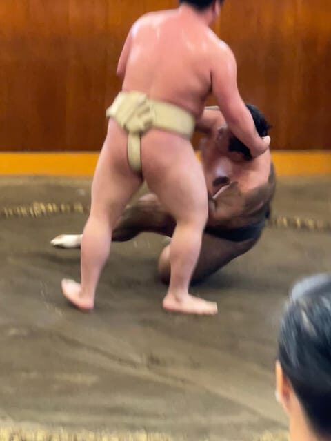 Tokyo: Sumo Morning Practice with Photo Banzuke and Guide - The Value of Watching Sumo Practice