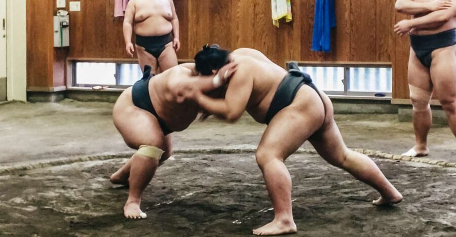 Tokyo: Sumo Morning Training Visit - An In-Depth Look at the Sumo Morning Training Tour
