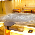 Tokyo: Sumo Show Experience with Chicken Hot Pot and a Photo - Why This Tour Offers Great Value