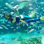 Tokyo: Sunshine Aquarium Entry Ticket - An In-Depth Look at Tokyos Sunshine Aquarium