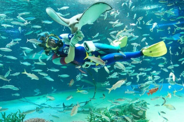 Tokyo: Sunshine Aquarium Entry Ticket - An In-Depth Look at Tokyos Sunshine Aquarium
