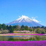 Tokyo To Mount FUJI Day Trip With English guide - Why This Tour Offers Great Value