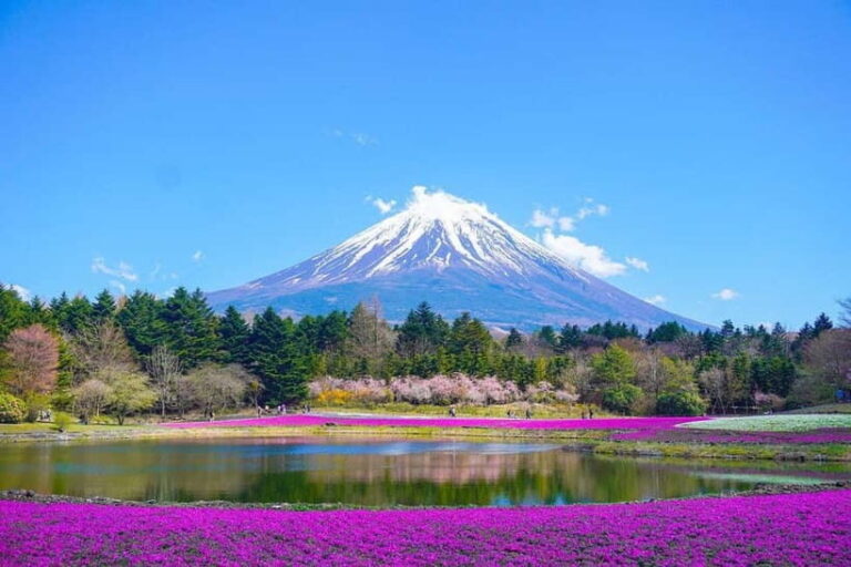Tokyo To Mount FUJI Day Trip With English guide - Why This Tour Offers Great Value