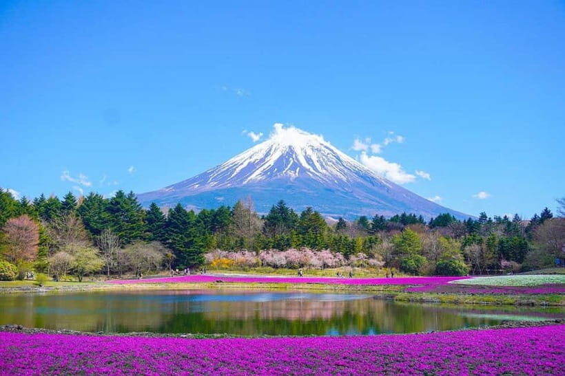 Tokyo To Mount FUJI Day Trip With English guide - Why This Tour Offers Great Value
