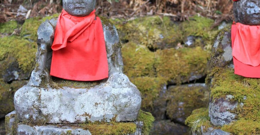 Tokyo to Nikko: Exclusive Private Day Trip - Who Should Consider This Tour?