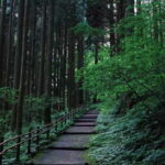 Tokyo: Togakushi Sacred Trail Day Tour with Shinkansen - The Experience in Context