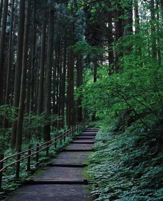 Tokyo: Togakushi Sacred Trail Day Tour with Shinkansen - The Experience in Context