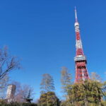 Tokyo: Tokyo Tower Guided Tour - Top Deck Views - The Experience: What You Can Expect
