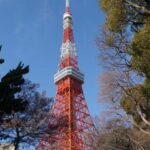 Tokyo: Top 3 Hidden Tokyo Tower Photo Spots and Local Shrine - Who Should Take This Tour?