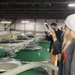 Tokyo: Toshimaya Sake Brewery Tour with Sake Tasting - Exploring the Toshimaya Sake Brewery: An In-Depth Look