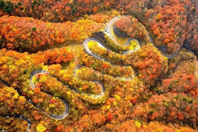 Tokyo: Toshogu Shrine (Nikko Toshogu), Lake Chuzenji, Kegon Falls - Who Will Love This Tour?