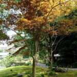 Tokyo Tour: Imperial Palace, Sake, Robots, Gardens & Museum - The Value of This Tour: Balancing Cost and Experience