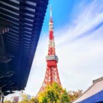 Tokyo Tower Japan Admission Ticket - What Reviewers Are Saying: Authentic Perspectives