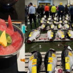 Tokyo Toyosu Tuna Auction w Dealer + Sushi (Standard to VIP) - What We Think Travelers Will Love