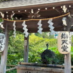Tokyo: Ueno Park and Ameyoko Street Walking Tour - Why This Tour Offers Good Value