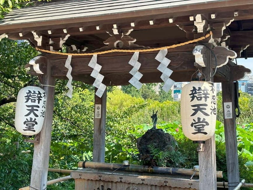 Tokyo: Ueno Park and Ameyoko Street Walking Tour - Why This Tour Offers Good Value
