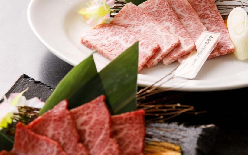Tokyo: Wagyu Yakiniku Tokori Dining Options - A Closer Look at Tokyo’s Wagyu Yakiniku Tokori