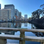 Tokyo walking tour around Imperial Palace and Tokyo Station - Detailed Breakdown of the Tour