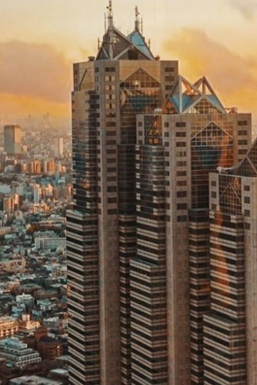 Tokyo Walking Tour with Licensed Guide Shinjuku - The Sum Up: Who Will Love This Experience?