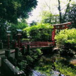 Tokyo: We love Shibuya, Hachiko and the lucky cat temple - Who Will Love This Tour?