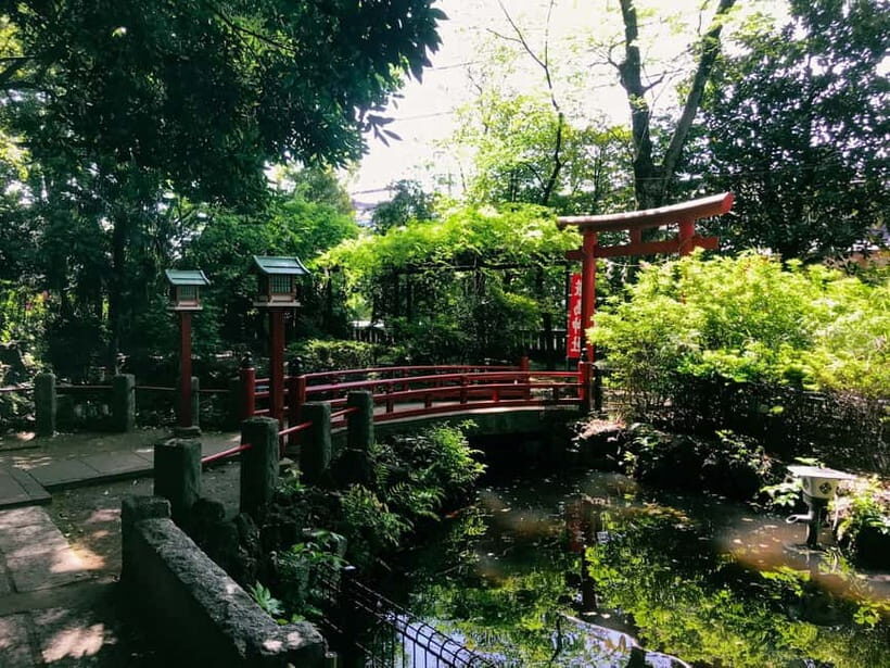 Tokyo: We love Shibuya, Hachiko and the lucky cat temple - Who Will Love This Tour?