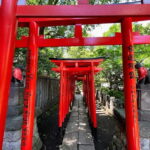 Tokyo: Yanaka & Ueno,  Tokyo of Tradition Guided Tour - An In-Depth Look at the Tour Experience