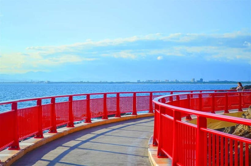 Tokyo Yokohama Night View Tour With Kamakura And Enoshima - Who Would Love This Tour?