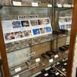 Tokyo : Zen Journey Tour - Kanzashi, Meditation & Tea - Who Will Love This Tour?