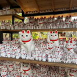 Tokyo:An Unique temple Walking Tour for cat lovers - Who Should Consider This Tour?