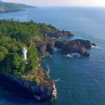 Tokyo:Izu Penisula Train Mt Omuro, Capybara Sightseeing Trip - Authentic Experiences and Practical Details