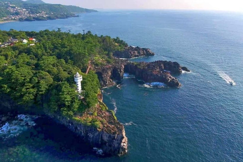 Tokyo:Izu Penisula Train Mt Omuro, Capybara Sightseeing Trip - Authentic Experiences and Practical Details