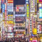 Tokyo:Luxury Private Tour with English-Speaking driver - Authenticity and Flexibility