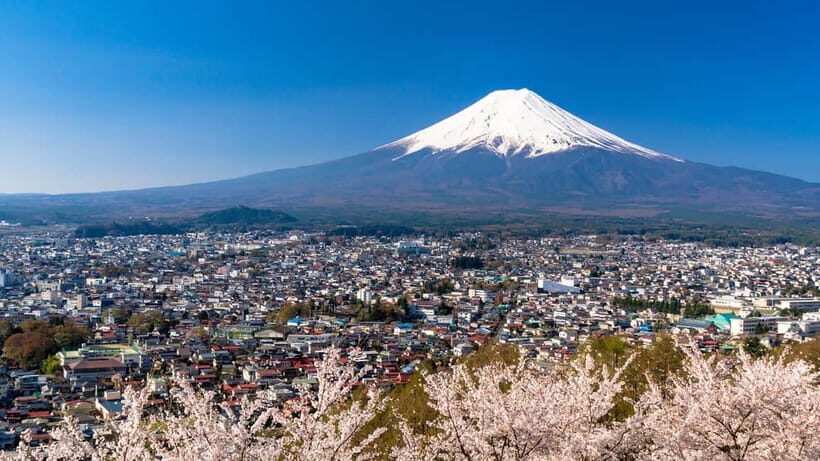 Tokyo:Mt. Fuji 5th Station&Onsen Day Trip | Seasonal Special - Value and Practicalities