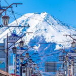Tokyo:Mt.Fuji 5th Station,Oshino Hakkai&Kawaguchiko Day Tour - Transportation and Group Dynamics