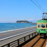 Tokyo:Private Cutomizable Day Tour to Kamakura - Who Will Love This Tour?