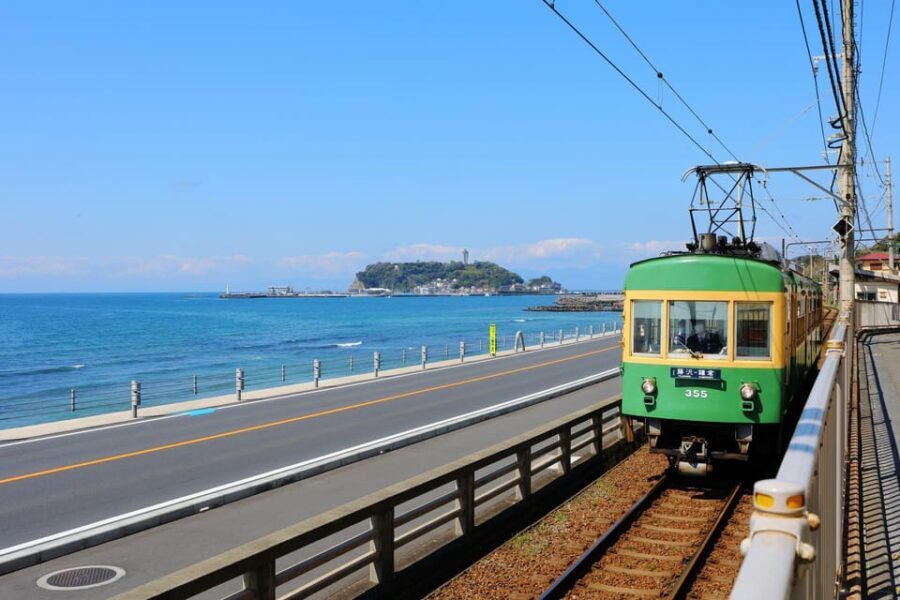 Tokyo:Private Cutomizable Day Tour to Kamakura - Who Will Love This Tour?