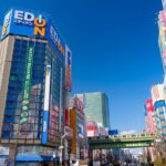 Tokyos Must-Sees: 5-hour Tsukiji, Akihabara & Asakusa Tour - The Practicalities and What to Expect