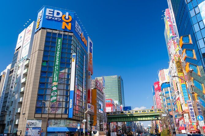 Tokyos Must-Sees: 5-hour Tsukiji, Akihabara & Asakusa Tour - The Practicalities and What to Expect