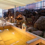 Tokyo's Only Tattoo Friendly traditional bathhouse + Ramen Tour! - Conclusions